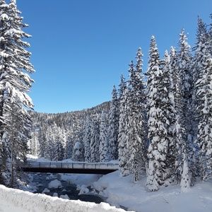 Meet your Posher, Alondra